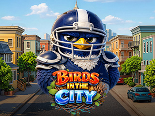 Birds in The City
